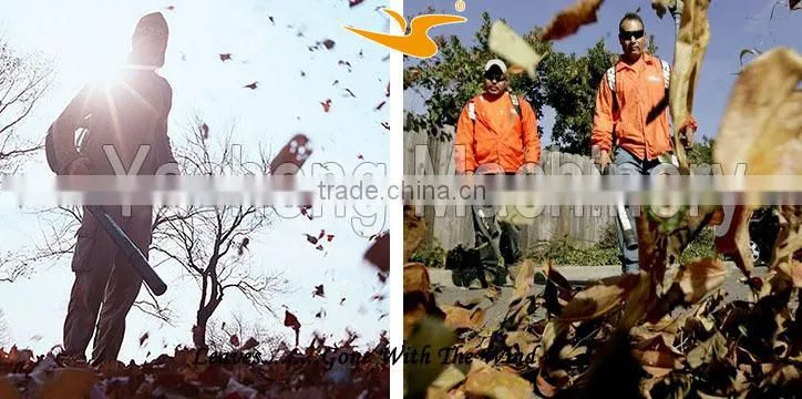 Mini Leaf Blower for Garden Work