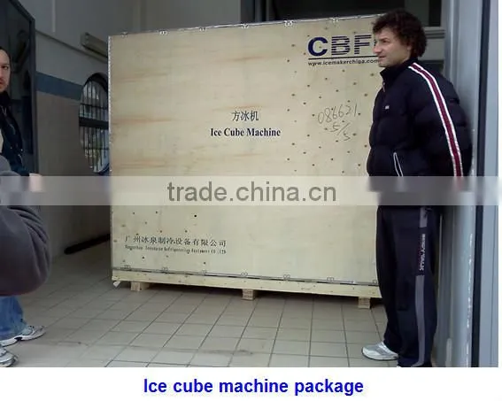 Guangzhou CBFI Cube Ice Machine 5 MT in 24 hrs deliver to Cebu, Philippines