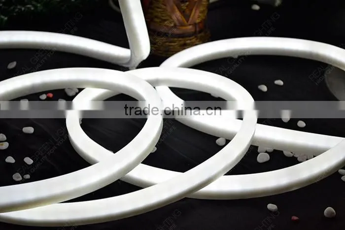 Manufacturer of 220V LED Neon Flex Rope Light