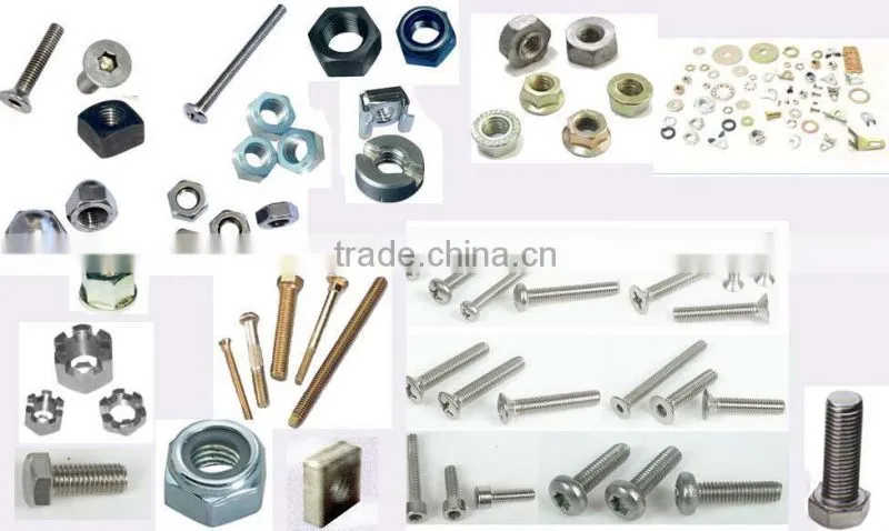 304l hex bolt with nuts