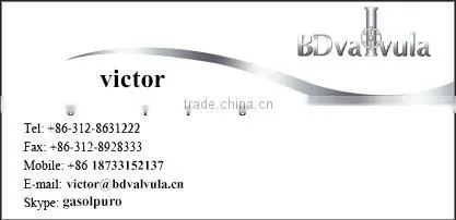 Stainless steel BS flange cover in casting technic with drawing