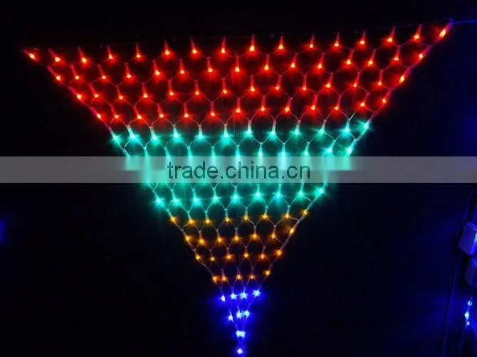 LED christmas net light