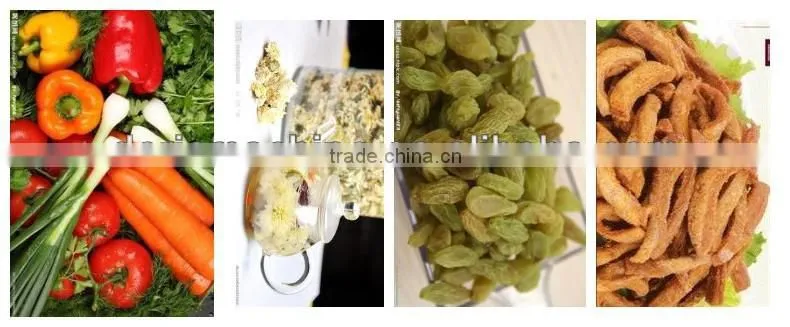 2014 Professional Food Dehydrator 100--500kg/batch with Reliable Quality