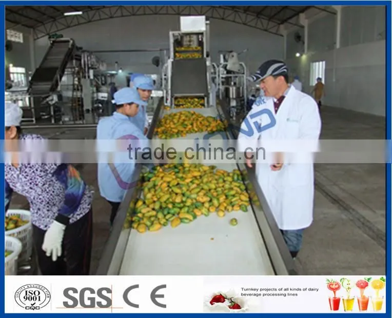 ecomomic method mango processing equipment