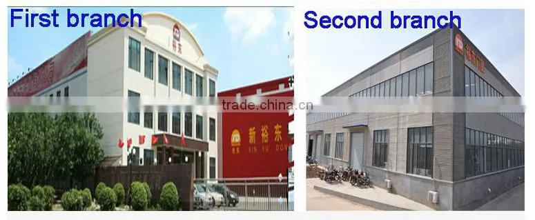 6000 series extrusion aluminum frameless double glass curtain wall