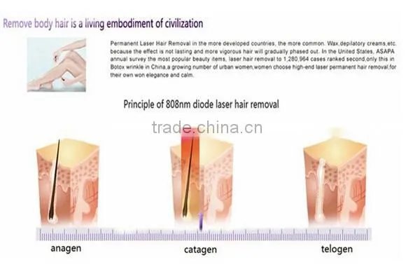 Over 20 million flashes Best Seller professional cooling system home diode hair laser hair removal device