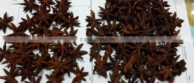 Viet Nam Star Aniseed