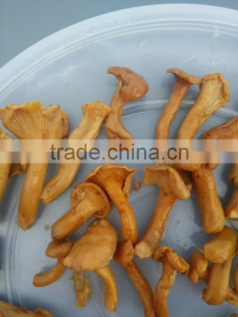 Class B Broken Mushroom Cantharellus Cibarius in Brine