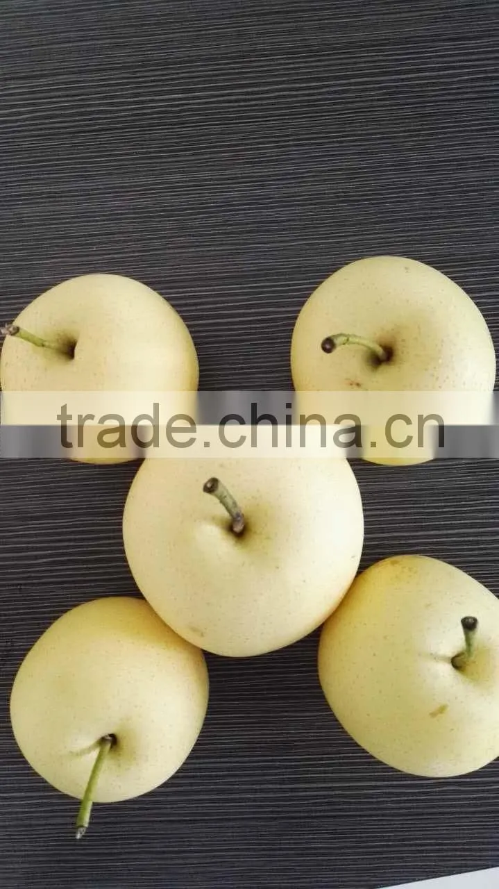 fruits south africa pear fruit