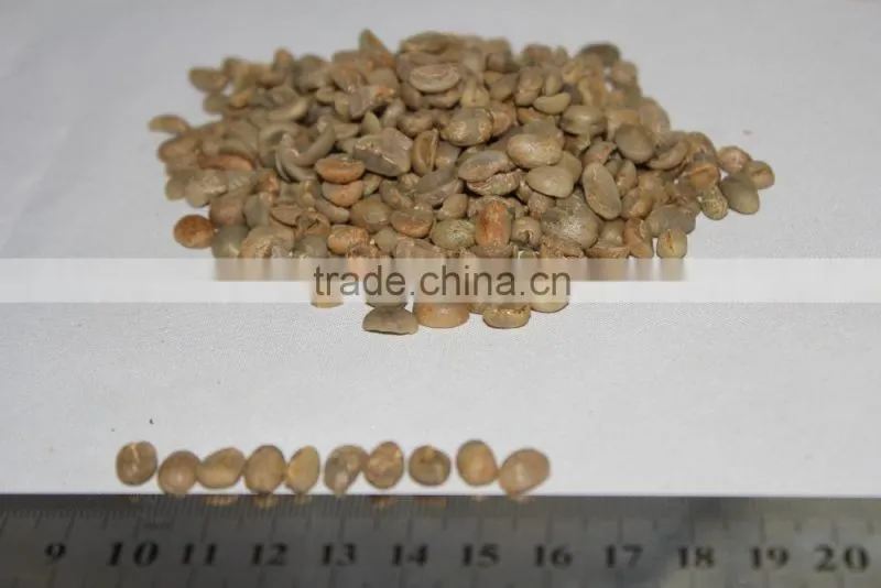 GMO arabica coffee bean price