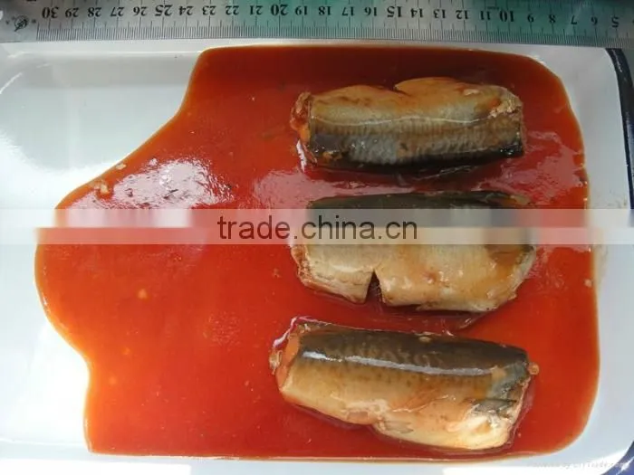 mackerel fish in tomato sauce
