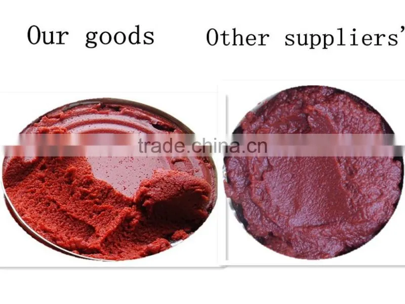 Color Printing Laminated Plastic Tomato Paste Sachet