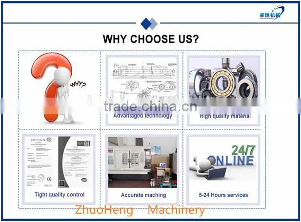 All stainless steel Bread Crumb Extruder Machine