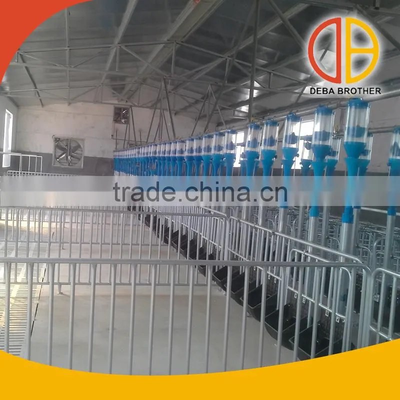 Automatic Pig Feeding System