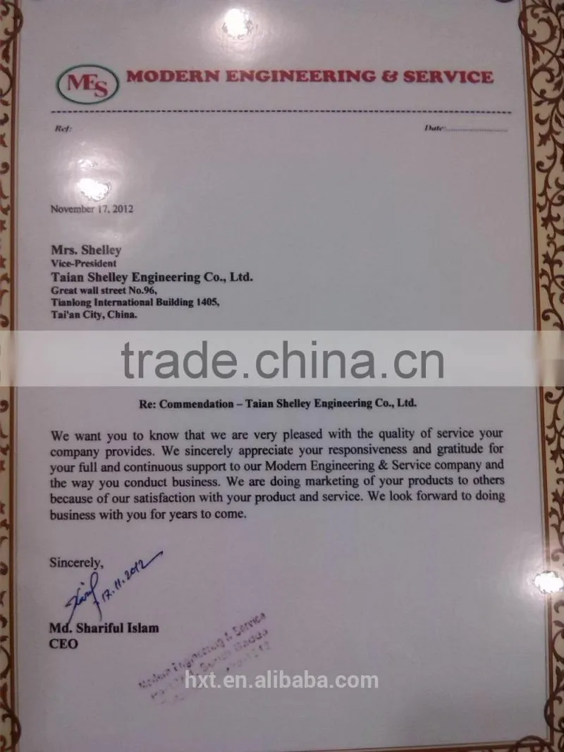 china chain cement grain vertical bucket elevator for sale