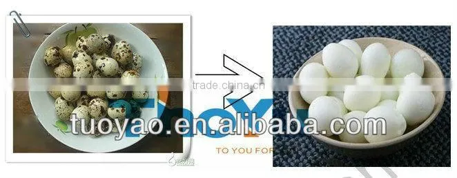 Thoyu Brand high efficiency Quail Egg Crushing Machine
