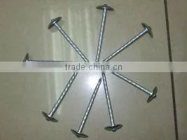 3" Umbrella Roofing Nails/construction roofing nails and building material nails