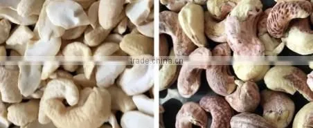 Optical Cashew Nut Processing Machine /Cashew Nut Belt Type Color Sorting Machine