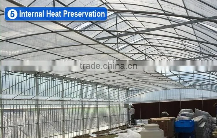 Cheap 30 x 100 greenhouse