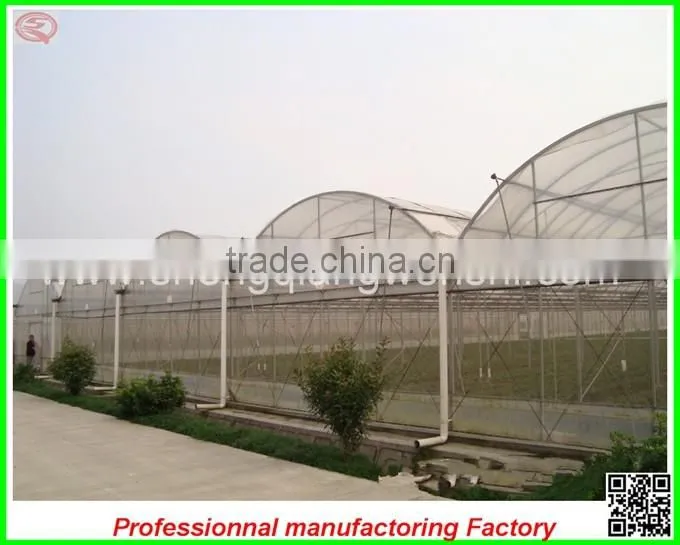 Hot sale 12m multi-span agriculture plastic greenhouses for vegetables