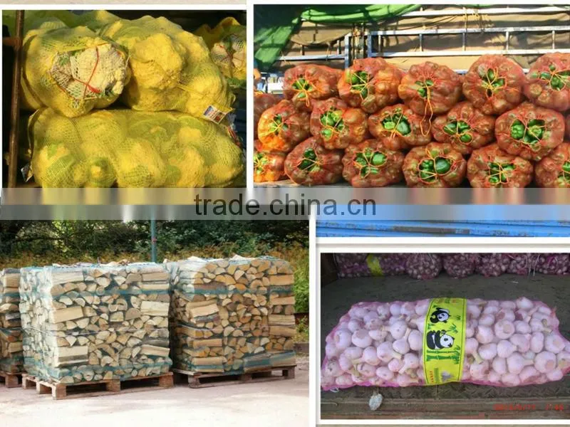 eco-friendly factory pe garlic mesh bag manufacture