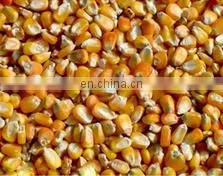 farming machine grain dryer/corn dryer/High Efficiency Agricultural Grain Dryer for Drying Paddy Wheat Maize dryer