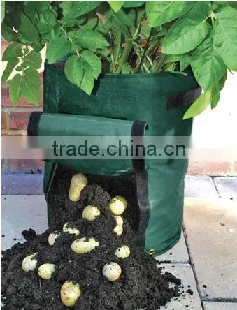 Potato Planting Bag / Garden plant Cover