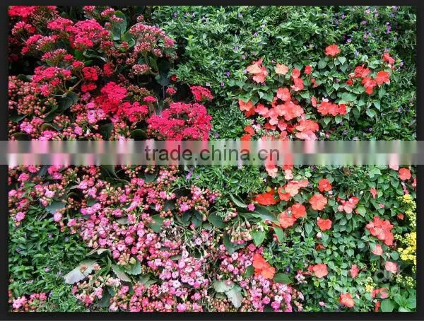 New Style High Quality Artistic Artificial Plant (grass/flower) Wall