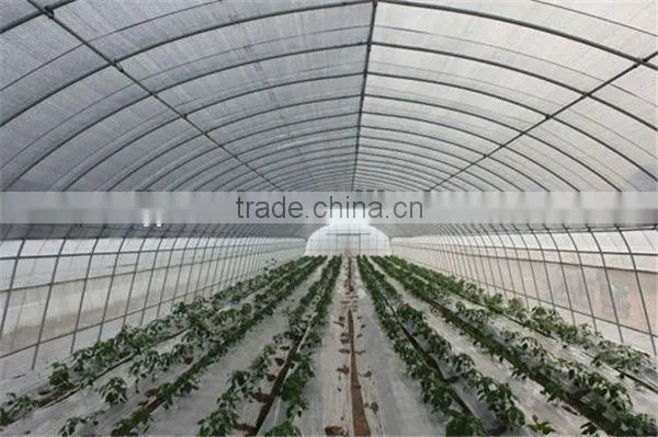 vegetable tunnel greenhouse