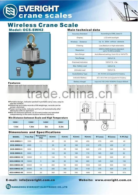 wireless crane scale