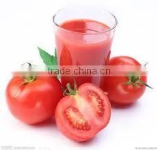 coconut warer extraction and concentrate machine for instant powder processing