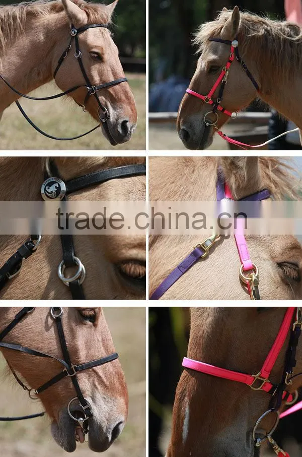 Horse Briddle with raised browband