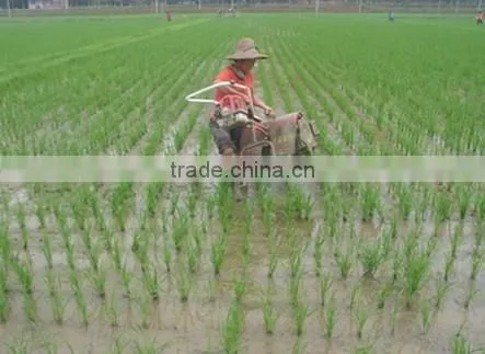 2014 factory hot sales rice weeder