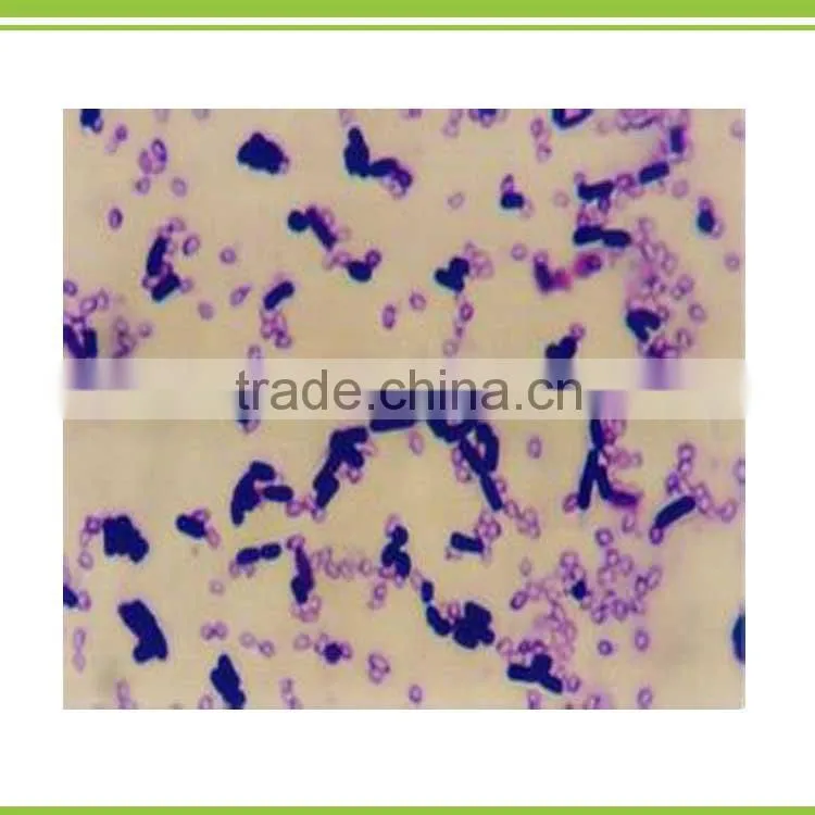 liquid bio organic humate acid foliar fertilizer with trance element and organic matter