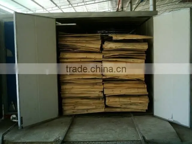 Dingli wood drying oven machine of vacuum dryer oven for sale