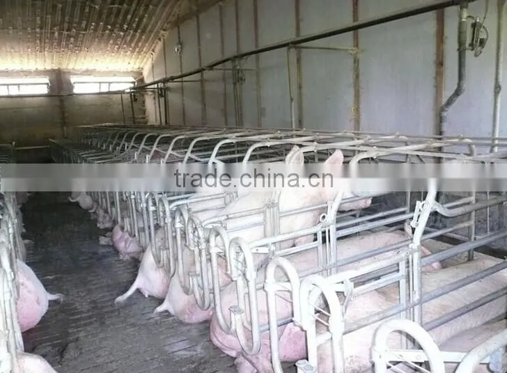 prefabricated poultry farm chicken house