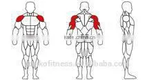 plate loaded/Fitness Equipment /Gym/INCLINE CHEST PRESS