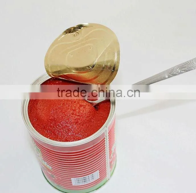 Tomato Paste Canned