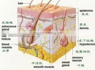 ipl+rf shr nd yag laser hair removal skin care multi-functional machine