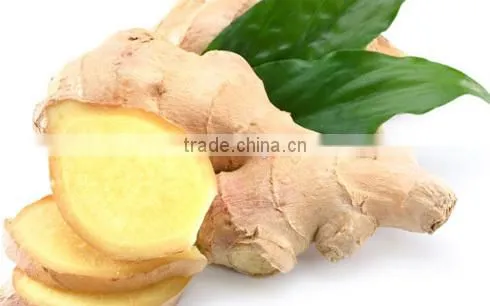 Fresh Ginger