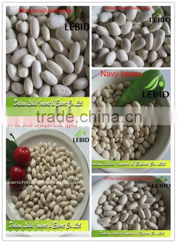 New Crop Butter Beans, Dry Butter Beans At Low Price