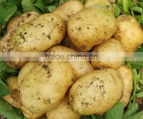 Potatos