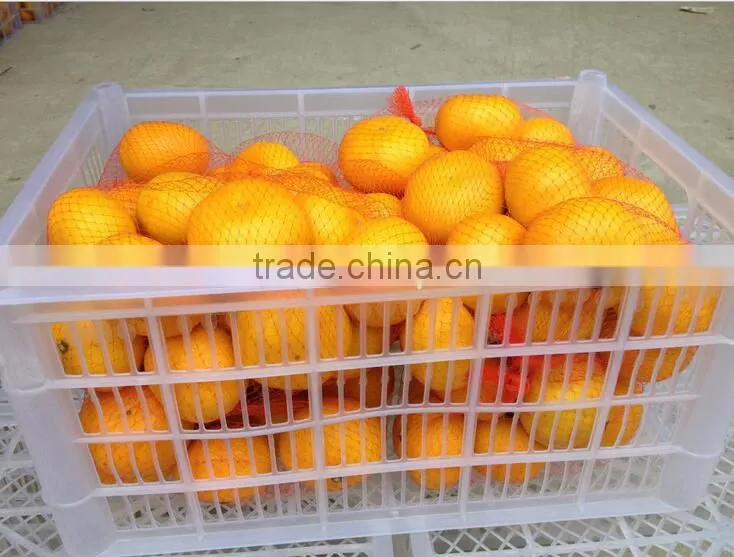Fresh Ponkan Orange for Sale south africa orange exporters