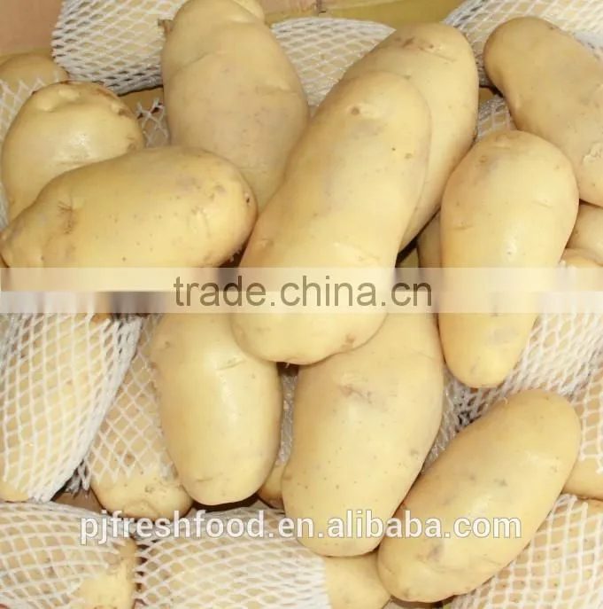 2015 Autumn Crop Potato