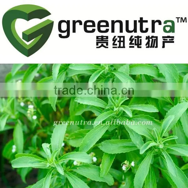 Stevia Extraction Unit