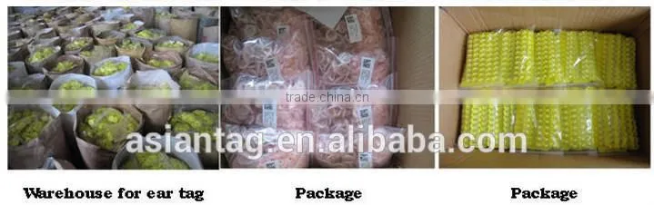 ICAR Approved RFID Cattle Ear Tag for identification