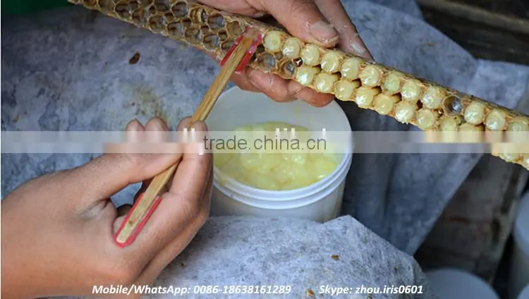 Competitive Price Fresh Organic Royal Jelly 10-hda 1.8%
