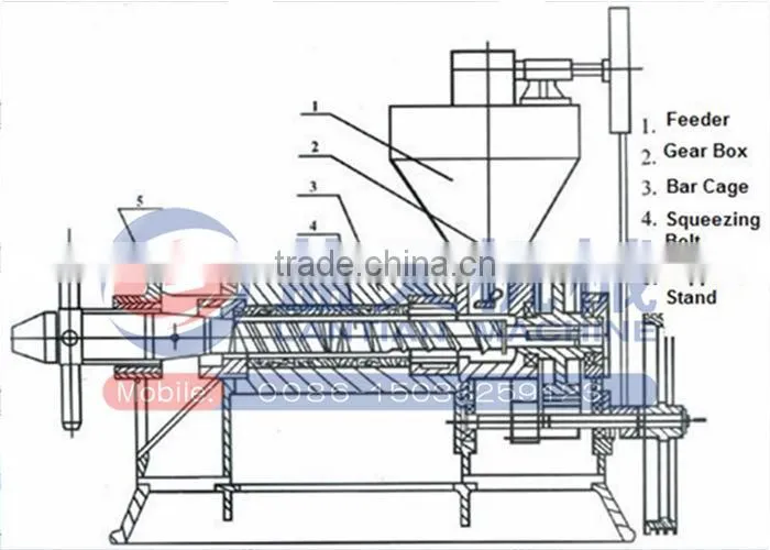 Factory direct sale oil pressing machine peanut olive bean oil press machine