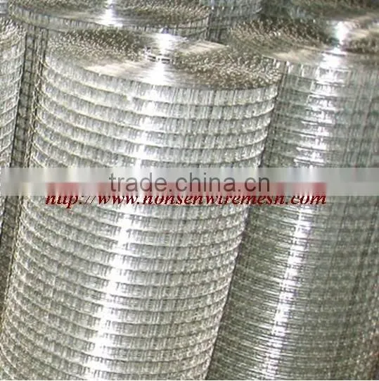 Galvanized Welded wire mesh (Factory)