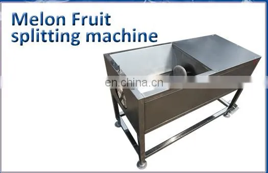 Fruit and vegetable juicer for sale electric carrot juicer orange juicer making machine